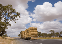 Prime Mover Loans Emerald Prime Mover Loans Emerald