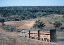 Prime Mover Loans Parkes