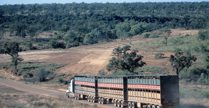 Prime Mover Loans Parkes